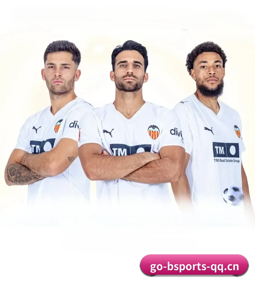 B体育 APP 界面